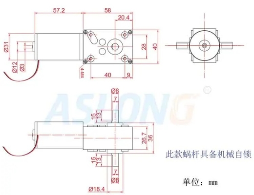 Motor de redução de rolamento duplo auto-bloqueador A58SW31ZYS motor de engrenagem micro dc motor de engrenagem duplo eixo 12v 24v dc worm gear motor